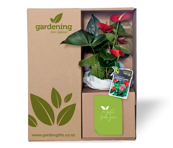 Garden Gifts – NZ plant gifts, plant delivery, sympathy gifts, pot